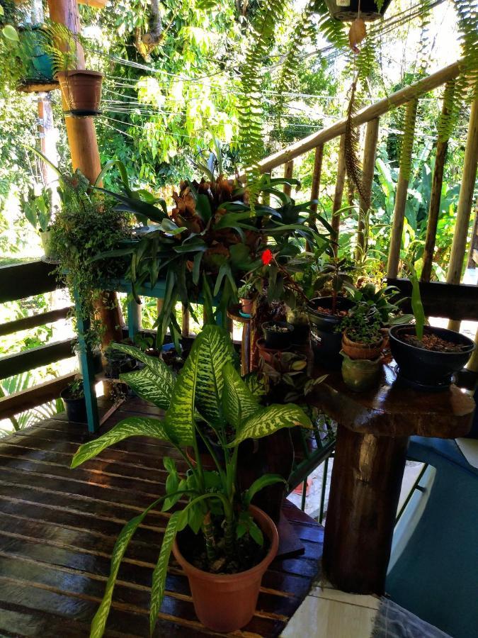 Hotel Pousada Maravilha Itacaré Extérieur photo